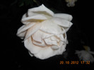 DSCN2194