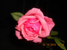 DSCN2197