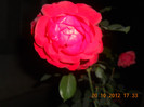 DSCN2199