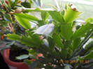 DSCN2230