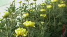octombrie 2012