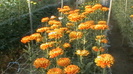 octombrie 2012