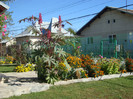DSC03516