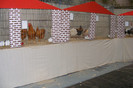 HANNOVER 2012 (75)