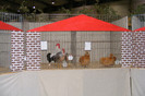 HANNOVER 2012 (76)