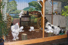 HANNOVER 2012 (78)