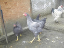 60235057_XHIOMHY