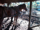 IMG00105-20121017-1545