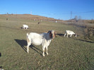 DSC01015