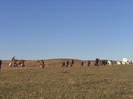 DSC01027