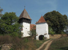 Magherus - Maniersch