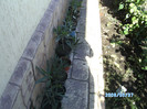 SANY0420