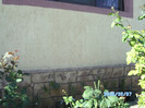 SANY0421