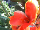 SANY0469