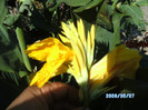 SANY0474