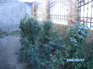 SANY0429