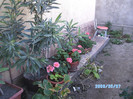 SANY0430