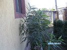 SANY0478