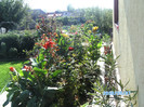 SANY0483
