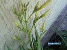 SANY0489