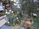 DSC01235