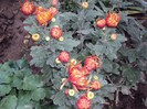 DSC01236