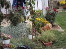DSC01240
