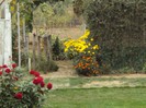 DSC01241