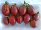 PURPLE RUSIAN