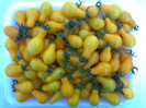 YELLOW PEAR