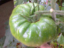 HAWAIIAN PINEAPLE