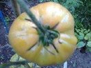 HAWAIIAN PINEAPLE