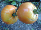 HAWAIIAN PINEAPLE