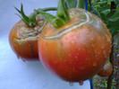 BLACK KRIM