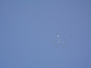 DSCF0807