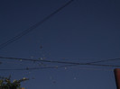 DSCF0820