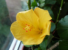 P1410181