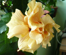 P1410206