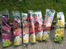 plantati in 21.10.2012
