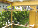 DSC00428