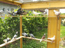 DSC00430