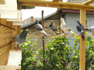 DSC00434