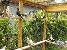 DSC00435
