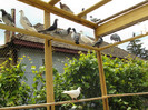 DSC00441