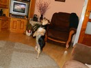 DSCN0309