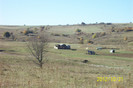 Copy of 101_0465