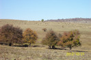 Copy of 101_0468