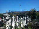 DSC00066