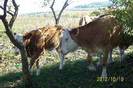 Copy of 101_0422