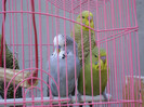 DSC03817